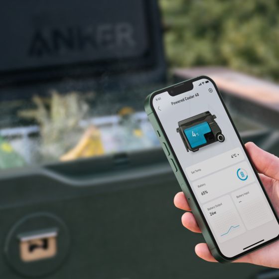 Anker EverFrost 30 - Single-Zone Powered Cooler - 33L