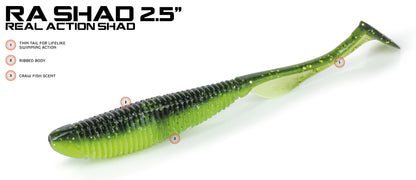 molix RA shad 2" swimbait lure