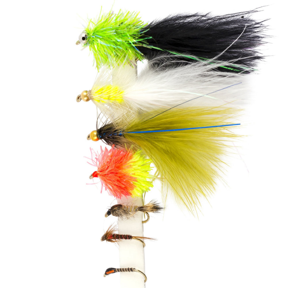 Snowbee Stillwater & General Flies - SF122 Small Water Favourites